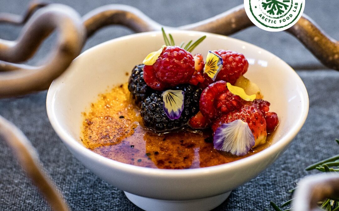 Juhulan Arctic Food Lab-menut